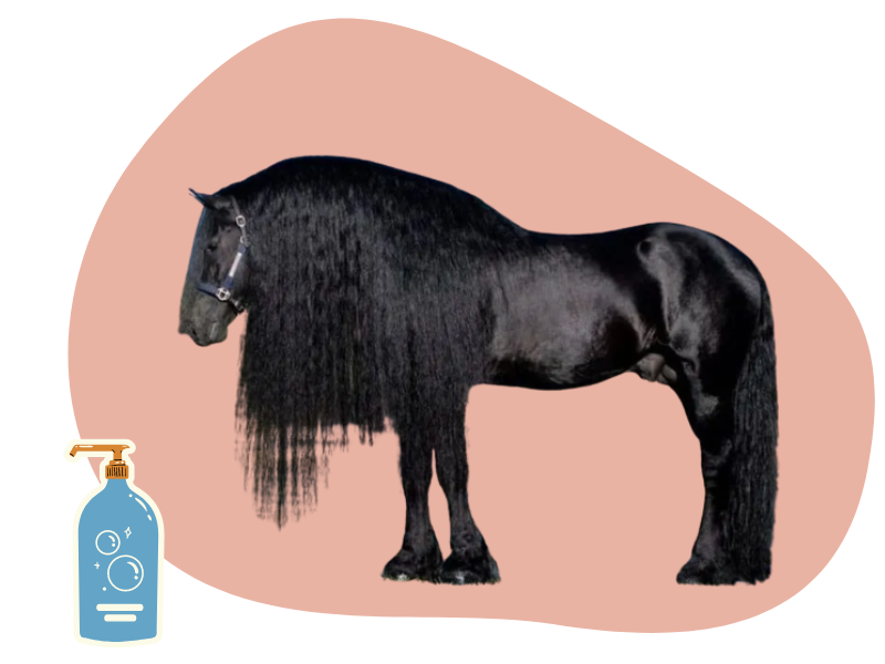 Horse shampoo & Gel