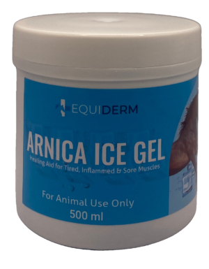 ARNICA ICE GEL 500ml - vetshop24.com.