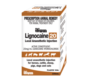 ilium Lignocaine 20 100 mL - vetshop24.com