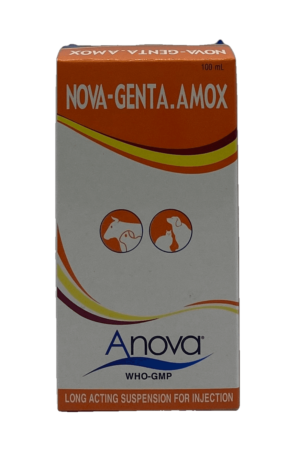 NOVA-GENTA.AMOX - vetshop24.com