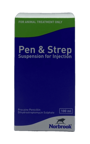 Pen & Strep 100 ml injection - vetshop24.com