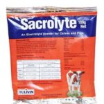 Sacrolyte 100 gm: Essential Pet Care at Vetshop24.com